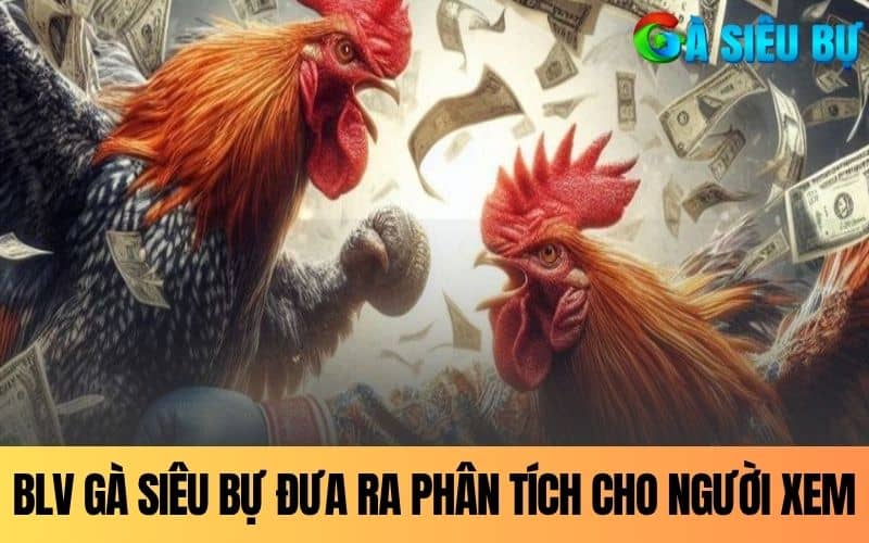 BLV Gà Siêu Bự đưa ra những phân tích chuyên sâu cho người xem BLV Gà Siêu Bự đưa ra những phân tích chuyên sâu cho người xem
