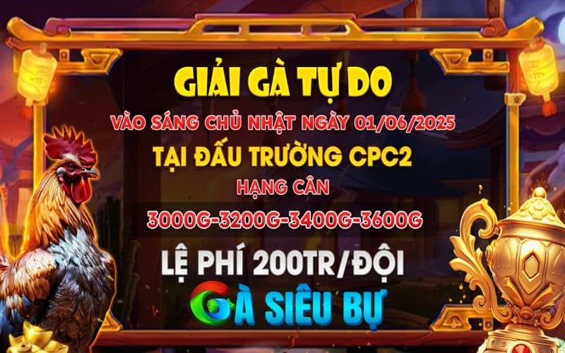 Thông Báo Giải Gà Tự Do Tại CPC2 Ngày 01/06/2025