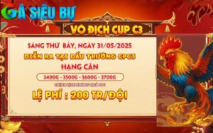 Thông Báo Giải Vô Địch Cup C3 Ngày 31/05/2025