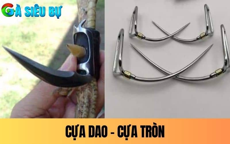 Cựa dao và cựa tròn là loại cựa phổ biến hiện nay Cựa dao và cựa tròn là loại cựa phổ biến hiện nay