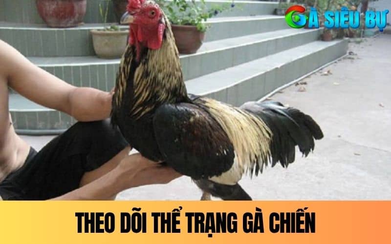 Cần theo dõi thể trạng thường xuyên để điều chỉnh chế độ Cần theo dõi thể trạng thường xuyên để điều chỉnh chế độ