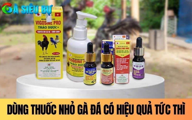 Dùng thuốc nhỏ gà đá có hiệu quả tức thì và nhanh gọn Dùng thuốc nhỏ gà đá có hiệu quả tức thì và nhanh gọn