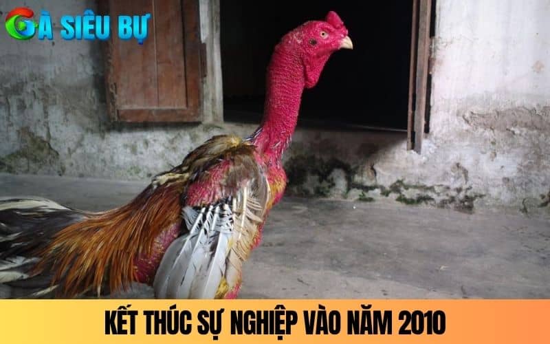Kết thúc sự nghiệp vào năm 2010 và mất năm 2015 Kết thúc sự nghiệp vào năm 2010 và mất năm 2015