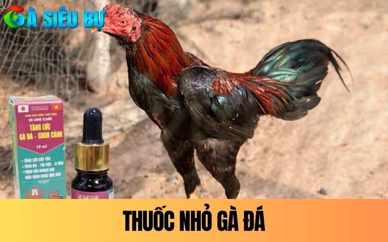 Thuốc nhỏ gà đá là dung dịch chuyên dùng để nhỏ cho gà Thuốc nhỏ gà đá là dung dịch chuyên dùng để nhỏ cho gà