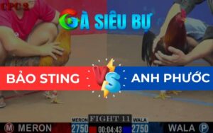 Trận 11 CPC2 Ngày 01/06/2025 – Điều Trâu Gồng Lâu, Idol Bảo Xỉu Tuyệt Đối