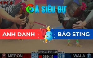 Trận 12 CPC2 Ngày 01/06/2025 – Que Đuôi Lao Hạ Điều Nhanh Gọn