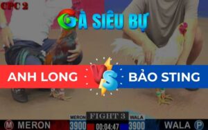 Trận 3 CPC2 Ngày 01/06/2025 – Úa Hiệu Idol Bảo Sting Khiến Điều Phải Chạy