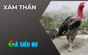 Xám Thần