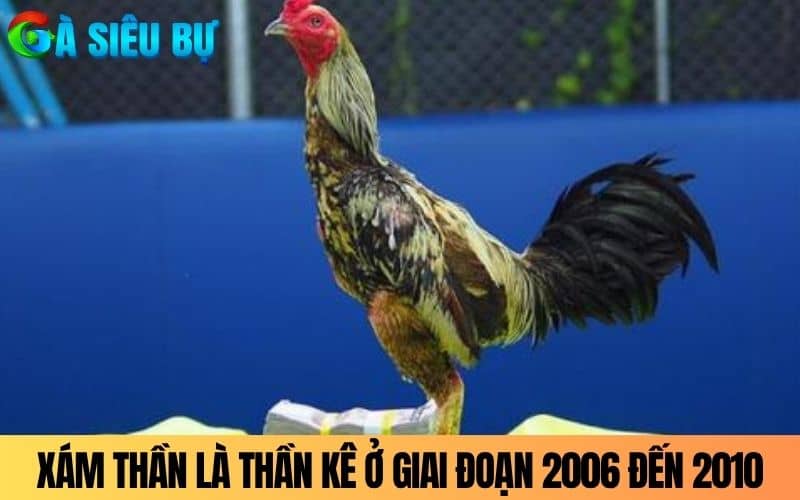 Xám Thần là một chiến kê khét tiếng ở giai đoạn 2006 đến 2010 Xám Thần là một chiến kê khét tiếng ở giai đoạn 2006 đến 2010