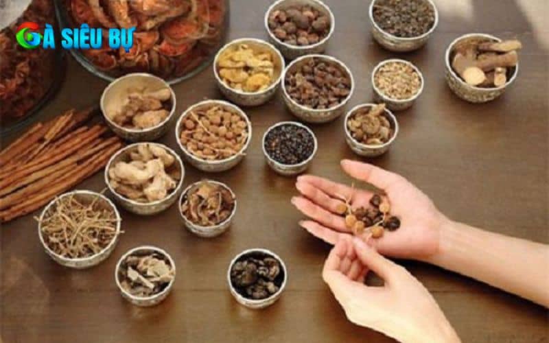 Cách làm rượu bóp gà chọi khá đơn giản chỉ với 3 bước Cách làm rượu bóp gà chọi khá đơn giản chỉ với 3 bước