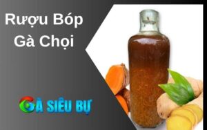 Rượu Bóp Gà Chọi