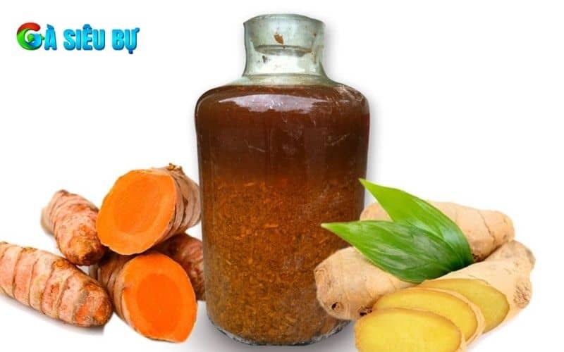 Rượu bóp gà chọi giúp gà lưu thông máu tốt hơn Rượu bóp gà chọi giúp gà lưu thông máu tốt hơn